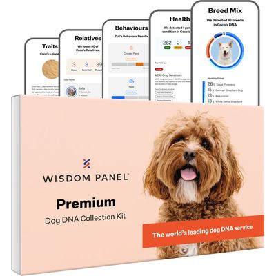 Wisdom Panel Premium Dog DNA Collection Kit box with sample reports showing traits, relatives, behaviours, health results and breed mix. Text: The world’s leading dog DNA service.