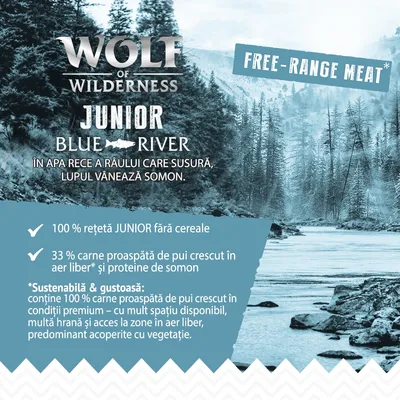 Wolf of Wilderness Junior Blue River. 100 % rețetă JUNIOR fără cereale, 33 % carne proaspătă de pui crescut în aer liber și proteine de somon. Free-range meat. Text în limba engleză și română.