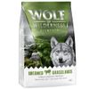 Wolf of Wilderness Sensitive "Untamed Grasslands" Paard - Graanvrij 1 kg