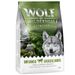 Wolf of Wilderness Sensitive "Untamed Grasslands" Paard - Graanvrij 1 kg