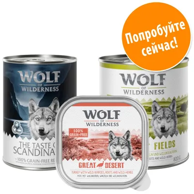 Консервы Wolf of Wilderness: The Taste of Scandinavia, Fields, Great Desert. Надпись на оранжевом круге: Попробуйте сейчас!
