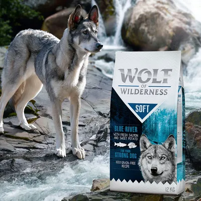Wolf of Wilderness Soft Blue River hundefoder 12 kg, tekst: 'Blue River with fresh salmon and sweet potato', 'for your strong dog', '100% grain-free recipe' på posen.