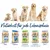 Gamme de croquettes Happy Dog NaturCroq pour chien : Puppy, Junior, Erwachsen mit viel Geschmack, Erwachsen für besondere Ansprüche, Senior. Texte en allemand.