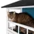 Braun getigerte Katze sitzt in einem weissen Holzhaus mit blauem Innenraum und schwarzem Dach.
