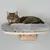 Plateforme murale en bois avec coussin gris, chat tigré allongé dessus. Coussin en tissu doux, support mural visible sous la plateforme.