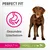 PERFECT FIT, texto em alemão: Gesundes Wachstum. ADULT 1+, mais de 10 kg. Imagem de um cão castanho e ícone rosa de estômago com visto. PERFECT FIT, texto em alemão: Gesundes Wachstum. ADULT 1+, mais de 10 kg. Imagem de um cão castanho e ícone rosa de estômago com visto.