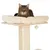 Rascador para gatos con poste de sisal, base y plataforma de madera clara, cama acolchada beige en la parte superior y bola colgante. Gato atigrado tumbado sobre la cama.