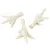 Three dried chicken feet as a natural snack for pets, whitish with rough surface.