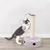 Kratzbaum mit Sisal-Säule, lila gepunkteter Basis und Spielball. Katze demonstriert Nutzung des Kratzbaums.