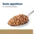 Gusto appetitoso e irresistibile, testo visibile sopra una cucchiaio con cibo umido per animali.