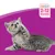 Gatto cucciolo su sfondo viola con testo: Junior 2–12 Monate. Il testo è in tedesco.