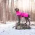 Hund iført en pink Outdoor-jakke med teksten 'Ruffwear' i en snedækket skov. Jakke med justerbart bælte og synlig beskyttelsesfunktion.