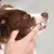 Användning av fingerborste för tandrengöring på en hund. Visar rätt teknik för tandvård.