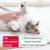 Age: from 8 weeks old, body weight: more than 1kg, dosage: 1 pipette per treatment. Table shown next to a pet being handled.