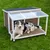 Niche pour chien en bois avec toit incliné partiellement transparent, posée sur une pelouse, chien de taille moyenne allongé à l’intérieur. Matériaux visibles : bois, plastique.