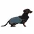 Pet wearing a fitted coat with high collar and adjustable drawstring, demonstrating product use and coverage on body.