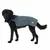 Hund trägt eine blaue wasserabweisende Hundejacke mit reflektierenden Streifen und Logoaufdruck auf der Seite.