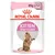 Sachet Royal Canin Kitten Sterilised, 85 g x12, avec image d’un chaton tigré. Texte visible : KITTEN Sterilised.