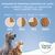 Concept for Life Medium Junior pour chien