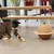 Boule à griffer Designed by Lotte Wiggly pour chat