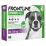 Frontline Combo Spot-On Hond L - 20-40 kg - Dubbelpak: 2 x 6 Pipetten x 2,68 ml