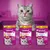 Três embalagens Whiskas para gatos: Vitamin E-Xtra mit Huhn 50 g, Anti-Hairball mit Huhn 50 g e Dentabites mit Huhn 40 g. Texto em alemão: menos 60% plástico, nova embalagem, mesmo sabor.