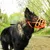 COLORI® Bozal para perro pastor L, negro