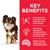 Hill's Science Plan Adult 1-6 Light Small & Mini med kylling