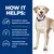 How it helps: Formulated to support digestion and stool quality, nourish and condition the skin with visible improvement, help maintain a healthy skin barrier. Labrador wearing blue collar.