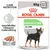 Royal Canin Digestive Care All Sizes, 85 g x12. Paté. Text: Upprätthåller hälsosam matsmältning. Bild på liten svart och brun hund samt illustration av matsmältningssystem.