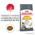 ROYAL CANIN Hair & Skin, sacchetto con gatto, testo: contribuisce a supportare la salute della pelle e la lucentezza del pelo. 90% of owners observed good skin and coat quality after 3 weeks* ROYAL CANIN Hair & Skin, sacchetto con gatto, testo: contribuisce a supportare la salute della pelle e la lucentezza del pelo. 90% of owners observed good skin and coat quality after 3 weeks*
