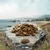 Dog food in round shape, size 10-11mm, on a stone with coastal landscape in the background.