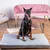 Graues Hundekissen mit Label 'Classic', präsentiert in einem Wohnzimmer mit Holzboden und rosa Sofa. Dobermann sitzt auf dem Kissen.