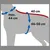 Schéma de mesures sur un chien : tour de cou max. 44 cm, longueur du dos 40 cm, tour de poitrail 46–56 cm.