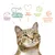 Reines Futter, perfektes Eiweiss-Fett-Verhältnis, Tierschutz, bessere Welt, glückliche gesunde Katzen. Illustration mit Katze und Symbolen.