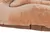 Hundemadrass Tibia