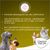 Concept for Life Mini Senior pour chien