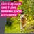 Frontline® TRI-ACT Hunde S (5 - 10 kg)