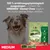 Greenies Dental Chew Medium, 170g für Hunde 12-22kg. Hergestellt mit natürlichen Zutaten. Hilft Plaque und Zahnstein zu reduzieren. Packung enthält 6 Stück.