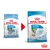 Две опаковки Royal Canin Starter Mother & Babydog Mini 10 кг, показващи промяна в дизайна. Новата опаковка включва текст: 1–2 months/mois, adult weight up to 10 kg.