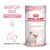 Royal Canin Babycat Milk