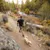 Ruffwear Flagline -talutin