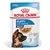 Royal Canin Maxi Puppy i sås Royal Canin Maxi Puppy i sås
