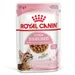 Royal Canin Sterilized Kitten v omáčce - 12 x 85 g