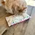 Cushion with floral pattern on wooden floor, sniffed by a cat.