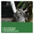 Katze schnuppert an Tube mit der Aufschrift 'Digestion Digestive-System Protection'. Text: Psylliumschalen, GOS, Ulmenrinde & getrocknetes Gras.