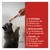 Multi-Vitamin Paste Extra für Katzen. 12 Vitamine unterstützen das Immunsystem, Beta-Glucane verbessern die Immunabwehr, Fischöl mit Omega 3&6 fördert den Aufbau von Körperzellen.