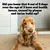 Text states: Did you know that 4 out of 5 dogs over the age of 3 have oral health issues, caused by plaque and tartar build-up?