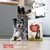 Dog next to a pack of SMØLKE Adult Maxi Complete all-in-one dog food. Text: feed the love. Dog next to a pack of SMØLKE Adult Maxi Complete all-in-one dog food. Text: feed the love.