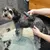 Person verwendet eine elektrische Tierhaarschneidemaschine, um das Fell eines Hundes zu trimmen. Hund steht auf einer Matte mit abgeschnittenem Fell.